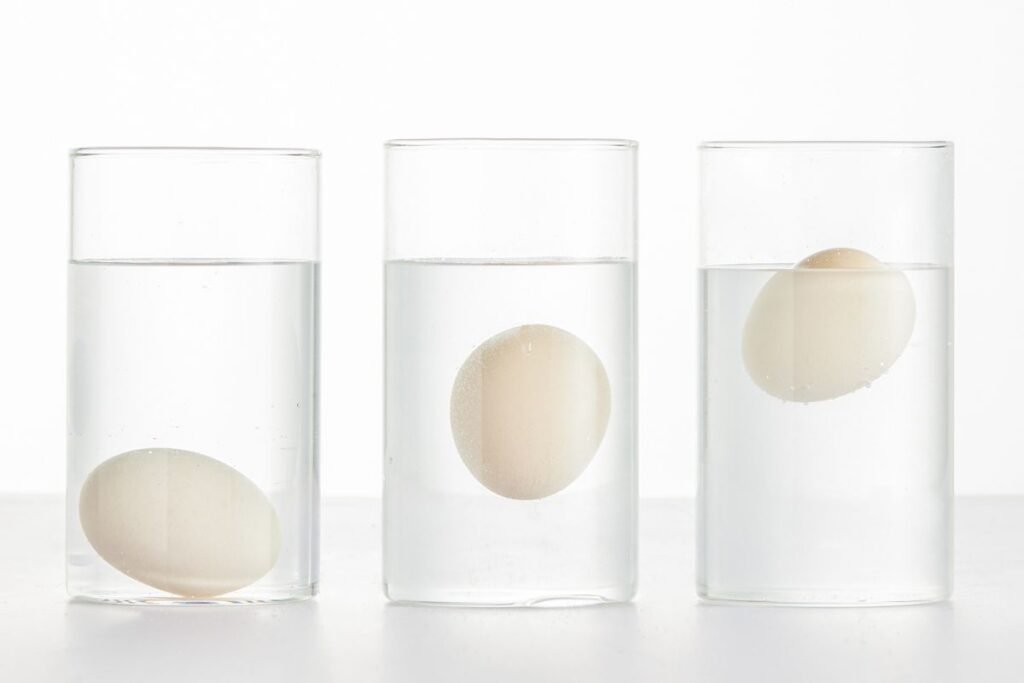 Kaip įvertinti kiaušinio šviežumą ir kokybę: kiaušinio testas vandenyje