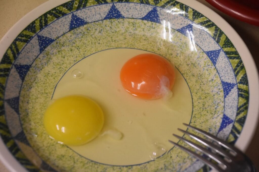 Kiaušiniai: laisvai laikomų vištų ir narvuose kiaušinių skirtumai